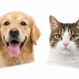 Custom Pet Big Head Cutouts — image 4