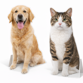 Custom Pet Cutouts & Yard Signs — image 5