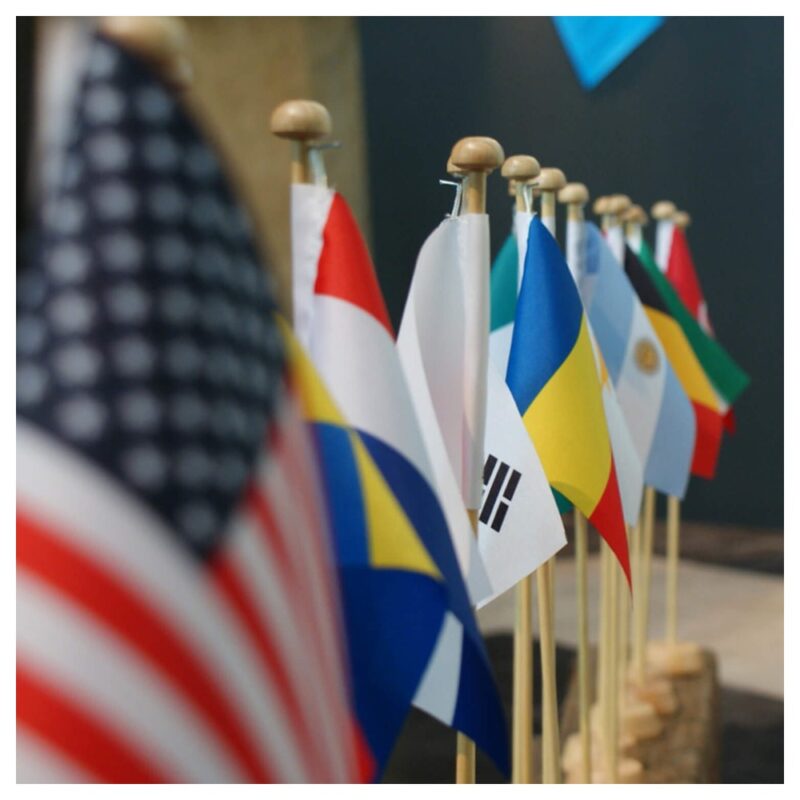 Custom Mini Hand Flags