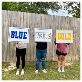 Custom Die-Cut Cheer & Flip Signs — image 2
